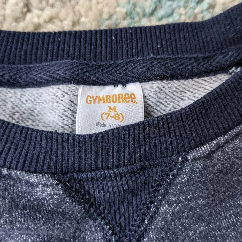 Gymboree Sweatshirt with‎ Aztec Sleeves